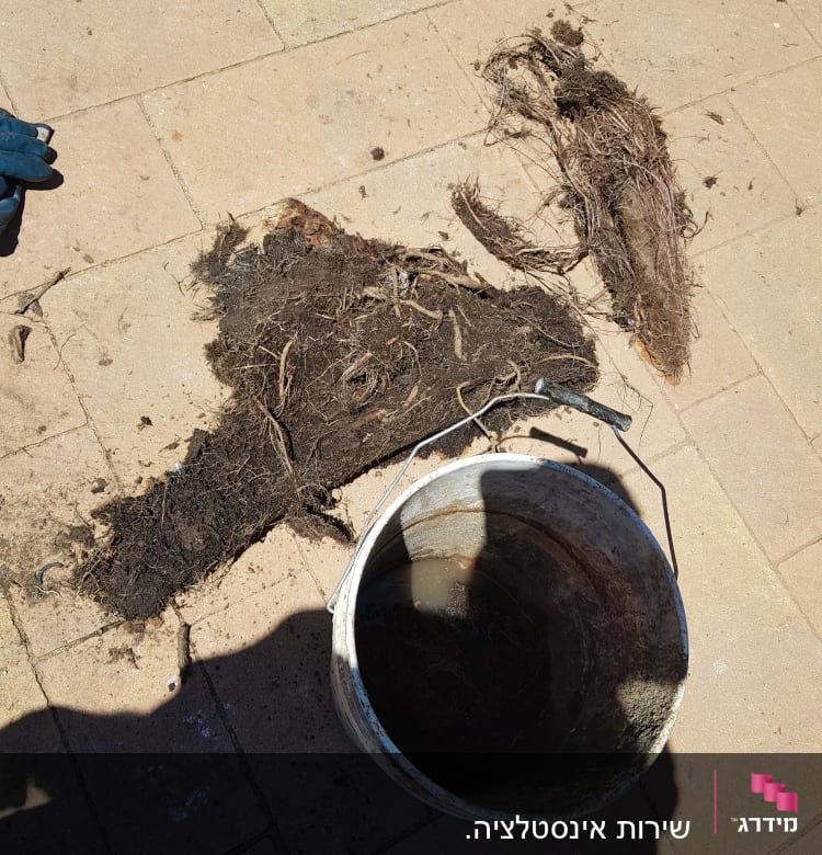 דלי עם מים ולכלוך, שורשים על הרצפה